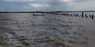 Sigue el buen pique de bogas en Berisso, a menos de una hora de CABA sigue-el-buen-pique-de-bogas-en-berisso,-a-menos-de-una-hora-de-caba