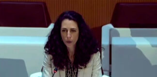 Sntp exige inclusión de periodistas en ley de amnistía y fin de la persecución judicial sntp-exige-inclusion-de-periodistas-en-ley-de-amnistia-y-fin-de-la-persecucion-judicial