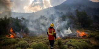 Un análisis científico dice que el cambio climático alimentó las condiciones de los incendios forestales en Chile y Argentina un-analisis-cientifico-dice-que-el-cambio-climatico-alimento-las-condiciones-de-los-incendios-forestales-en-chile-y-argentina
