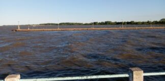 Punta Lara: dorados activos de día y buena variada nocturna en los muelles punta-lara:-dorados-activos-de-dia-y-buena-variada-nocturna-en-los-muelles