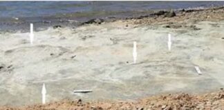 Hallan huellas de dinosaurios de 132 millones de años en Sudáfrica hallan-huellas-de-dinosaurios-de-132-millones-de-anos-en-sudafrica