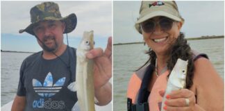 Sauce Grande, un destino infalible en verano sauce-grande,-un-destino-infalible-en-verano