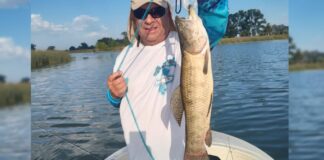 Monte resiste a la bajante: la tararira es la estrella de la temporada monte-resiste-a-la-bajante:-la-tararira-es-la-estrella-de-la-temporada