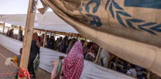 En Chad, la situación desesperada de los refugiados soudanais se enfrenta a una ayuda humanitaria que se tarit en-chad,-la-situacion-desesperada-de-los-refugiados-soudanais-se-enfrenta-a-una-ayuda-humanitaria-que-se-tarit