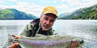 Un febrero amarillo, a puro limón, en tu revista Weekend! un-febrero-amarillo,-a-puro-limon,-en-tu-revista-weekend!