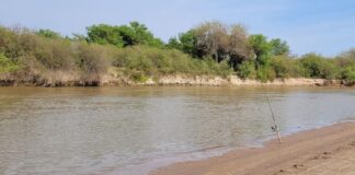 Levantan la veda de pesca en Santiago del Estero, pero piden extremar precauciones levantan-la-veda-de-pesca-en-santiago-del-estero,-pero-piden-extremar-precauciones