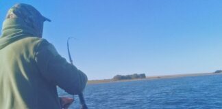 Licencia de pesca: paso a paso cómo tramitar el permiso en cada provincia licencia-de-pesca:-paso-a-paso-como-tramitar-el-permiso-en-cada-provincia