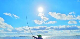 Actualidad de 10 lagunas a la vera de la Ruta 2 actualidad-de-10-lagunas-a-la-vera-de-la-ruta-2