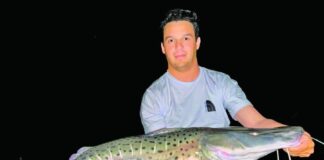 Goya afina anzuelos para el Mundial goya-afina-anzuelos-para-el-mundial