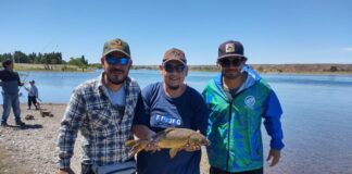 Sigue la preocupación por el avance sin control de la carpa en la Patagonia sigue-la-preocupacion-por-el-avance-sin-control-de-la-carpa-en-la-patagonia