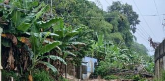 Petro llega a Miraflores para reunirse con Delcy Rodríguez petro-llega-a-miraflores-para-reunirse-con-delcy-rodriguez