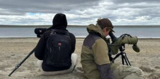 ¿En qué consiste el modelo de convivencia que busca proteger a una de las aves más frágiles de la Argentina? ¿en-que-consiste-el-modelo-de-convivencia-que-busca-proteger-a-una-de-las-aves-mas-fragiles-de-la-argentina?