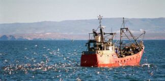 Argentina vive de espaldas al mar: un debate que llegará a Buenos Aires en junio argentina-vive-de-espaldas-al-mar:-un-debate-que-llegara-a-buenos-aires-en-junio