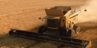 Dólares del agro: la liquidación cayó 1,2% interanual en abril, en el comienzo de la cosecha gruesa dolares-del-agro:-la-liquidacion-cayo-1,2%-interanual-en-abril,-en-el-comienzo-de-la-cosecha-gruesa