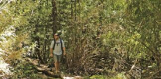 Rigen nuevas reglas para visitar los Parques Nacionales de la Patagonia rigen-nuevas-reglas-para-visitar-los-parques-nacionales-de-la-patagonia
