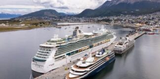 Experto: “Improbable” brote de hantavirus en crucero se originó en Ushuaia experto:-“improbable”-brote-de-hantavirus-en-crucero-se-origino-en-ushuaia