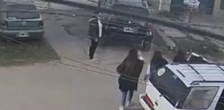 ANIMALES: regresaron desmayada y desangrada a una nena de 12 años animales:-regresaron-desmayada-y-desangrada-a-una-nena-de-12-anos