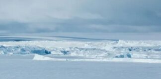 Afirman que el aumento del hielo costero no frena el deshielo continental afirman-que-el-aumento-del-hielo-costero-no-frena-el-deshielo-continental