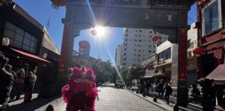 Del refugio al destino: cómo ‘Barrio Chino’ encontró su lugar en Buenos Aires del-refugio-al-destino:-como-‘barrio-chino’-encontro-su-lugar-en-buenos-aires