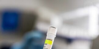 Hantavirus cruise cases rise to seven but WHO says infection risks are ‘low’ hantavirus-cruise-cases-rise-to-seven-but-who-says-infection-risks-are-‘low’