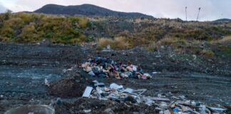 Ushuaia intenta ignorar sospechas de hantavirus ushuaia-intenta-ignorar-sospechas-de-hantavirus