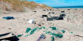 Más del 90% de los residuos hallados en costas de Chubut provienen de la pesca mas-del-90%-de-los-residuos-hallados-en-costas-de-chubut-provienen-de-la-pesca