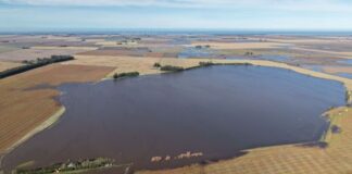 Tras el mal clima, destacamos 130 pesqueros para el fin de semana tras-el-mal-clima,-destacamos-130-pesqueros-para-el-fin-de-semana